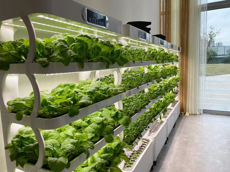 GrowLab™ EcoFarm 5