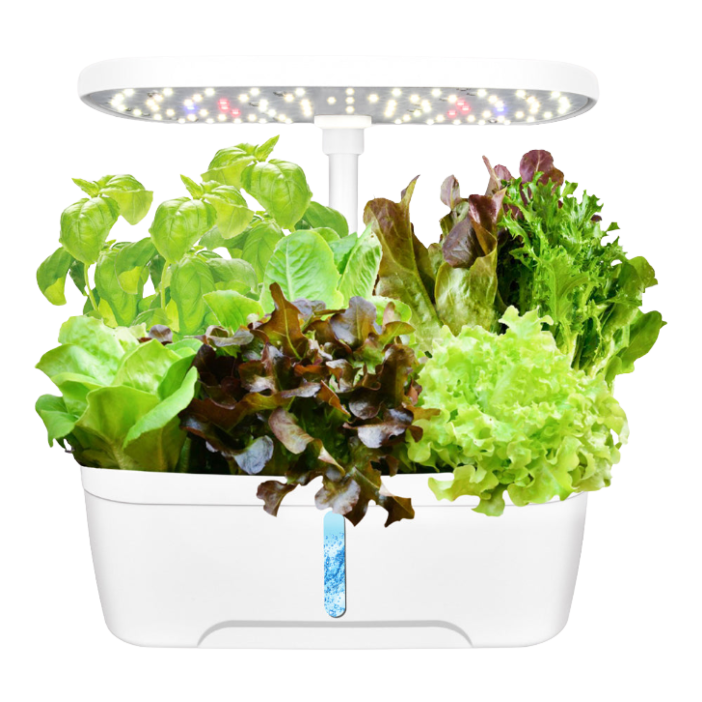 GrowLab™ Hydro Elite 6