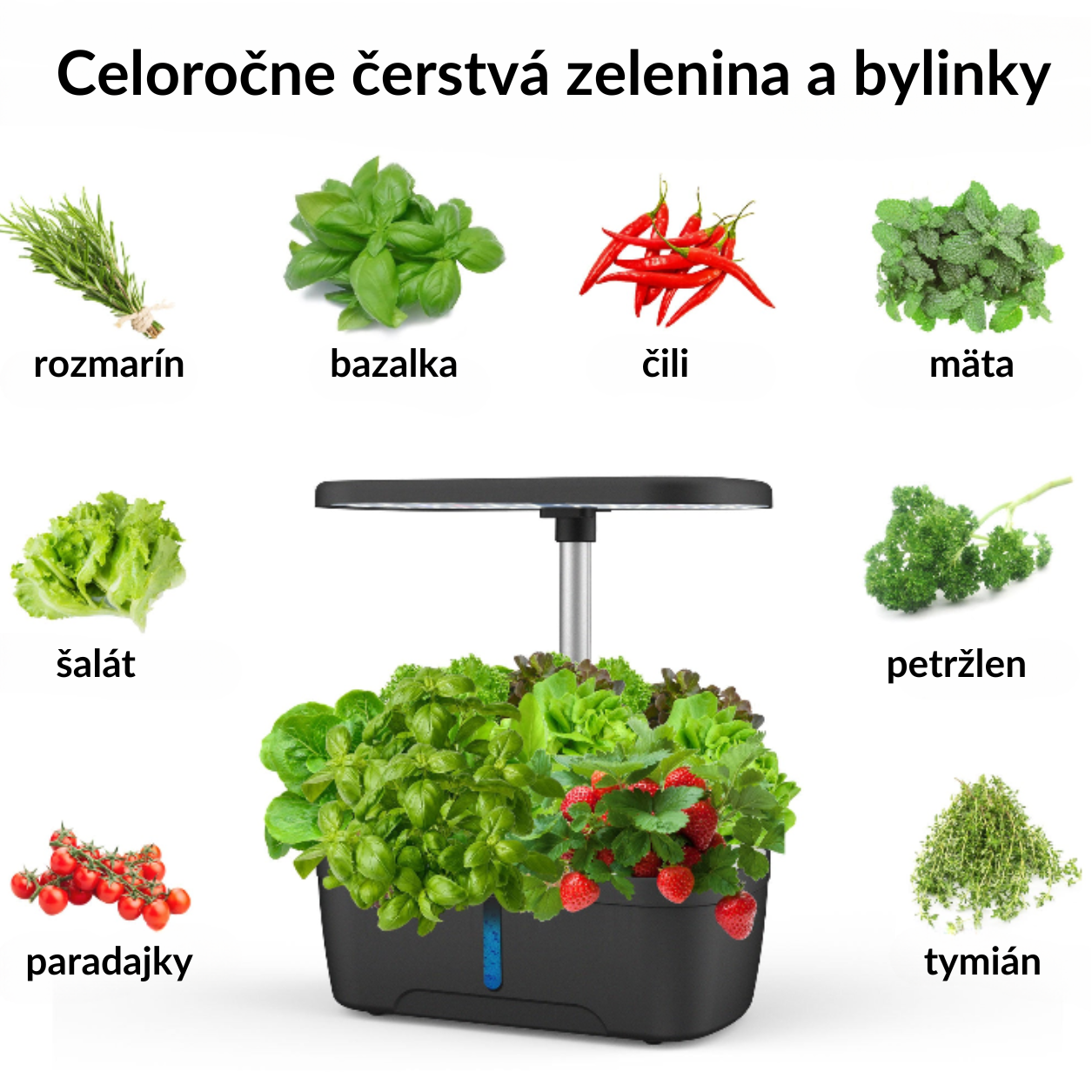 Svieže zelené rastliny pestované v GrowLab™ inteligentnom kvetináči