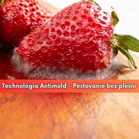 Antimold technológia v GrowLab™ – Bezpečné a čisté pestovanie bez plesní