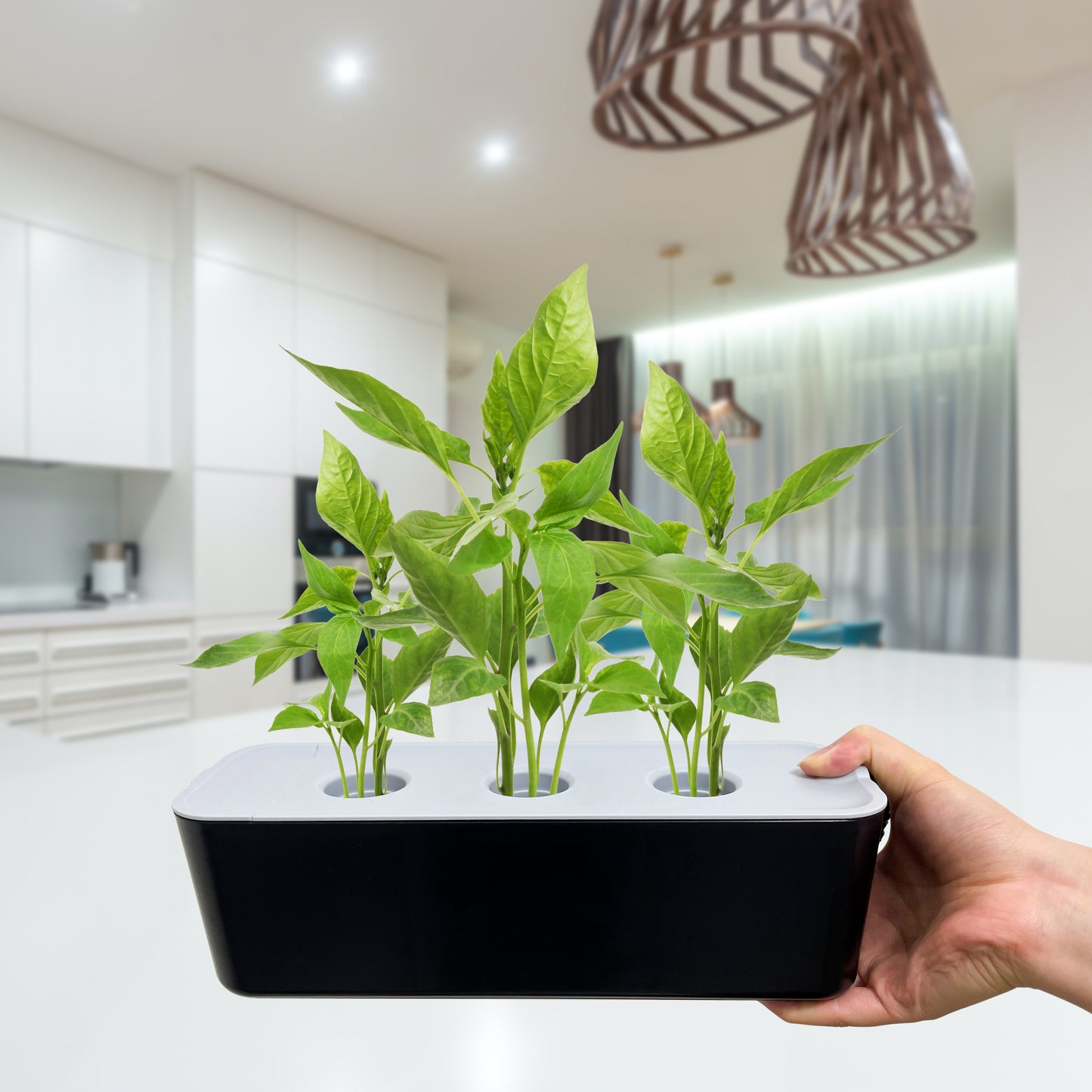 GrowLab™ Hydro Elite 3